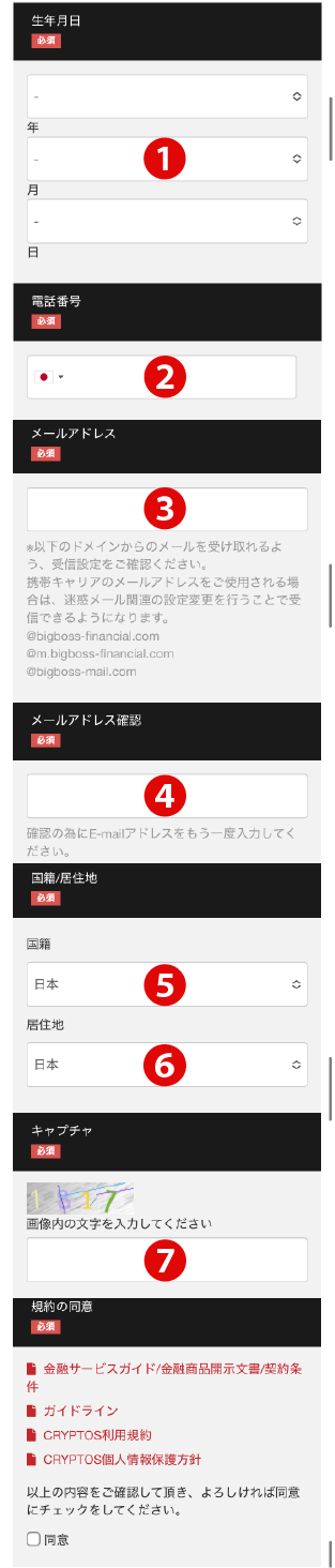 BigBoss(ビッグボス)の口座開設フォーム画面②